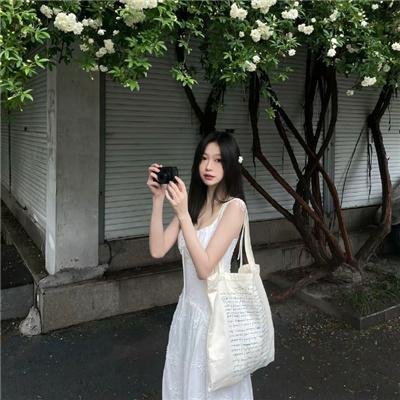 夜莺之歌封面